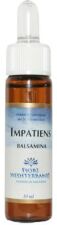 Fm Impatiens (impaciencia) 10 Ml De Elixir Floral